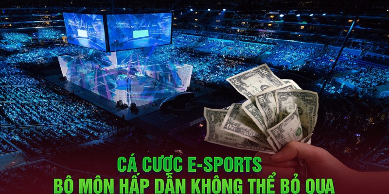 Cá cược E-Sports - Bộ môn hấp dẫn không thể bỏ qua