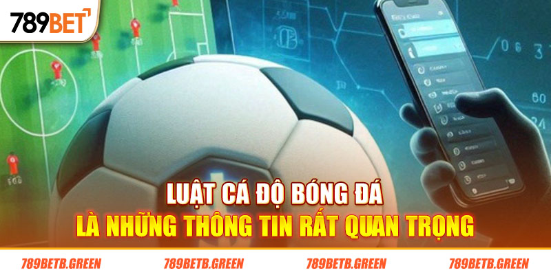 Luật Cá Độ Bóng Đá Và Thông Tin Người Chơi Cần Biết