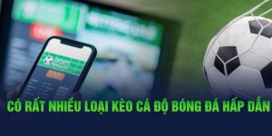 Có rất nhiều loại kèo cá độ bóng đá hấp dẫn