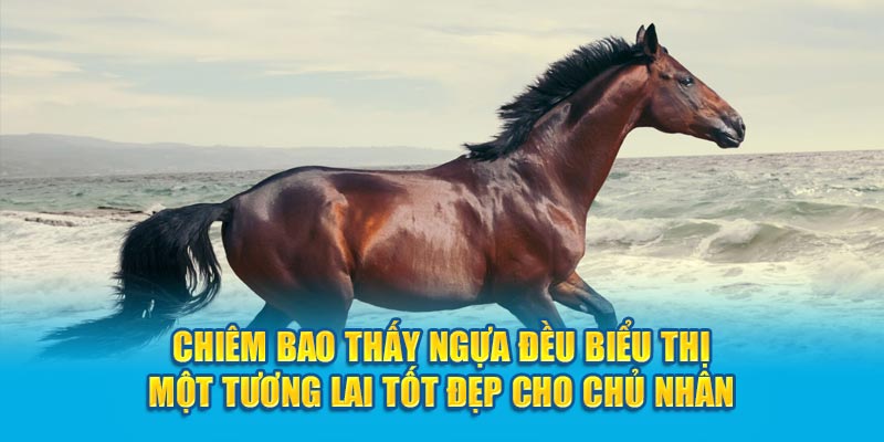 Chiêm bao thấy ngựa đều biểu thị một tương lai tốt đẹp cho chủ nhân